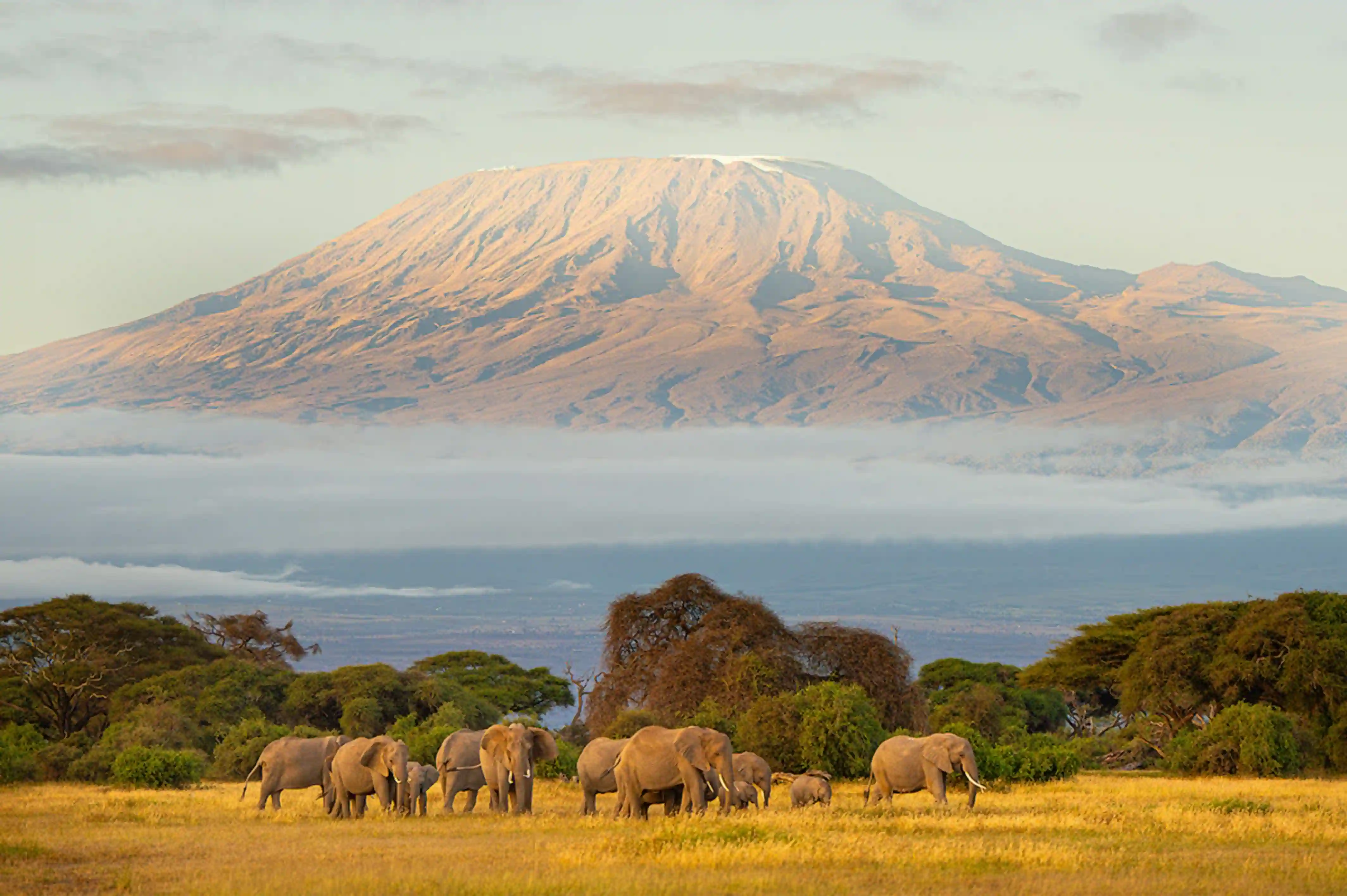 Tanzania