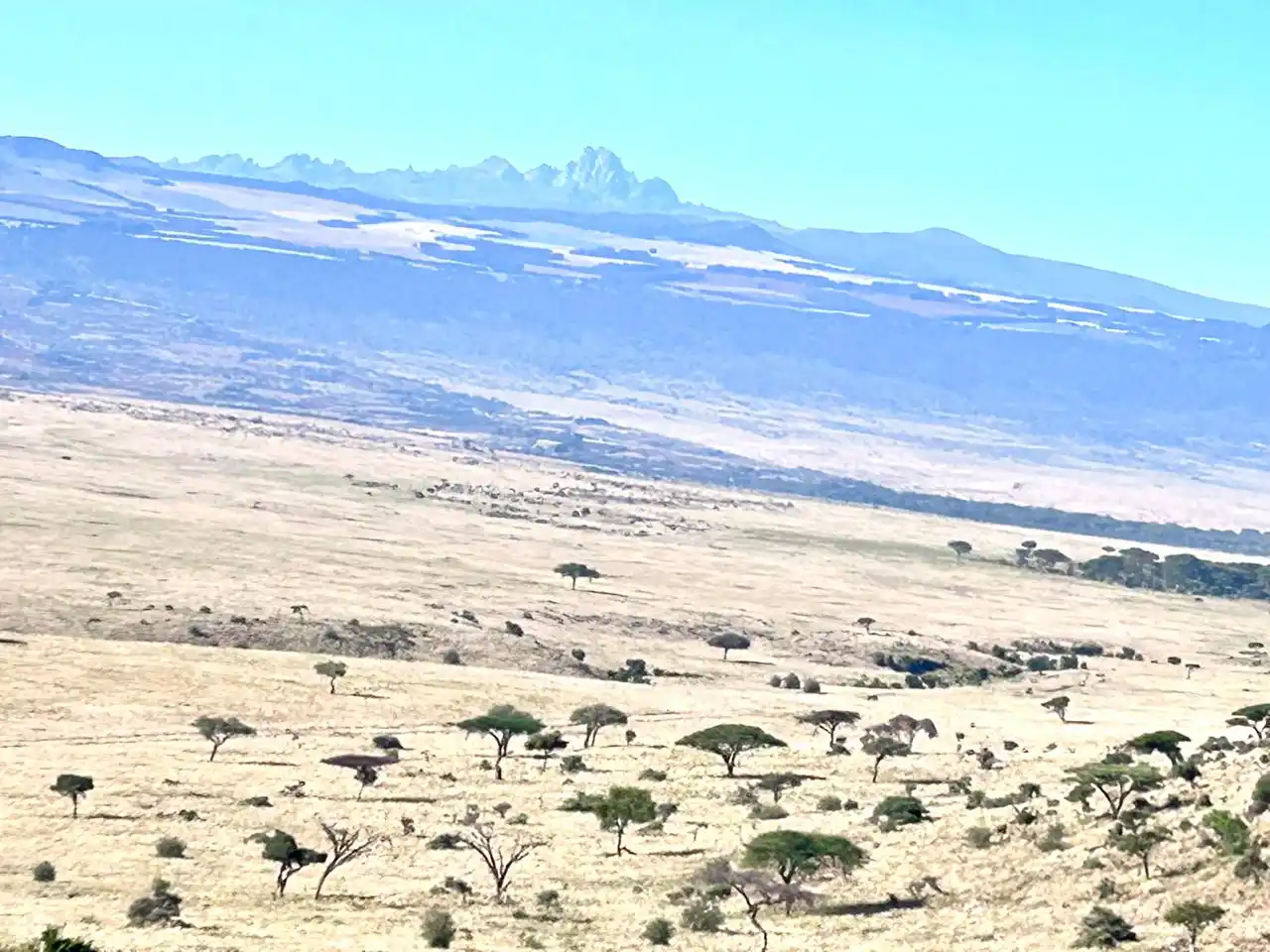 Amboseli