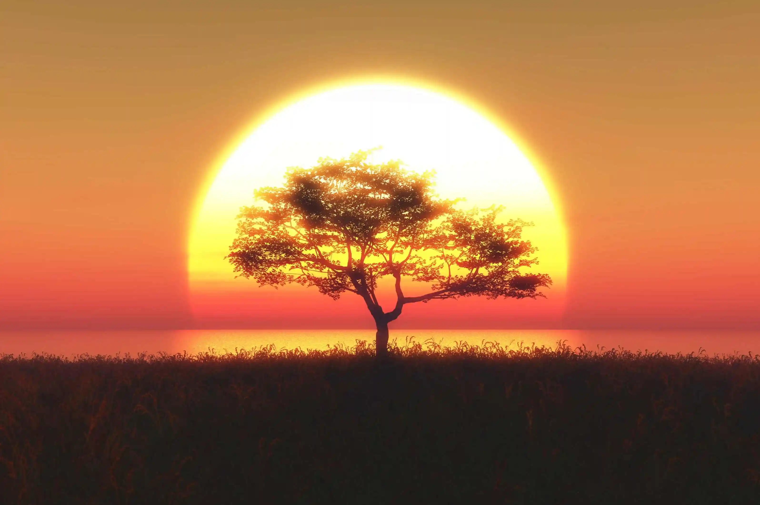 African savannah sunset during an evening safari drive