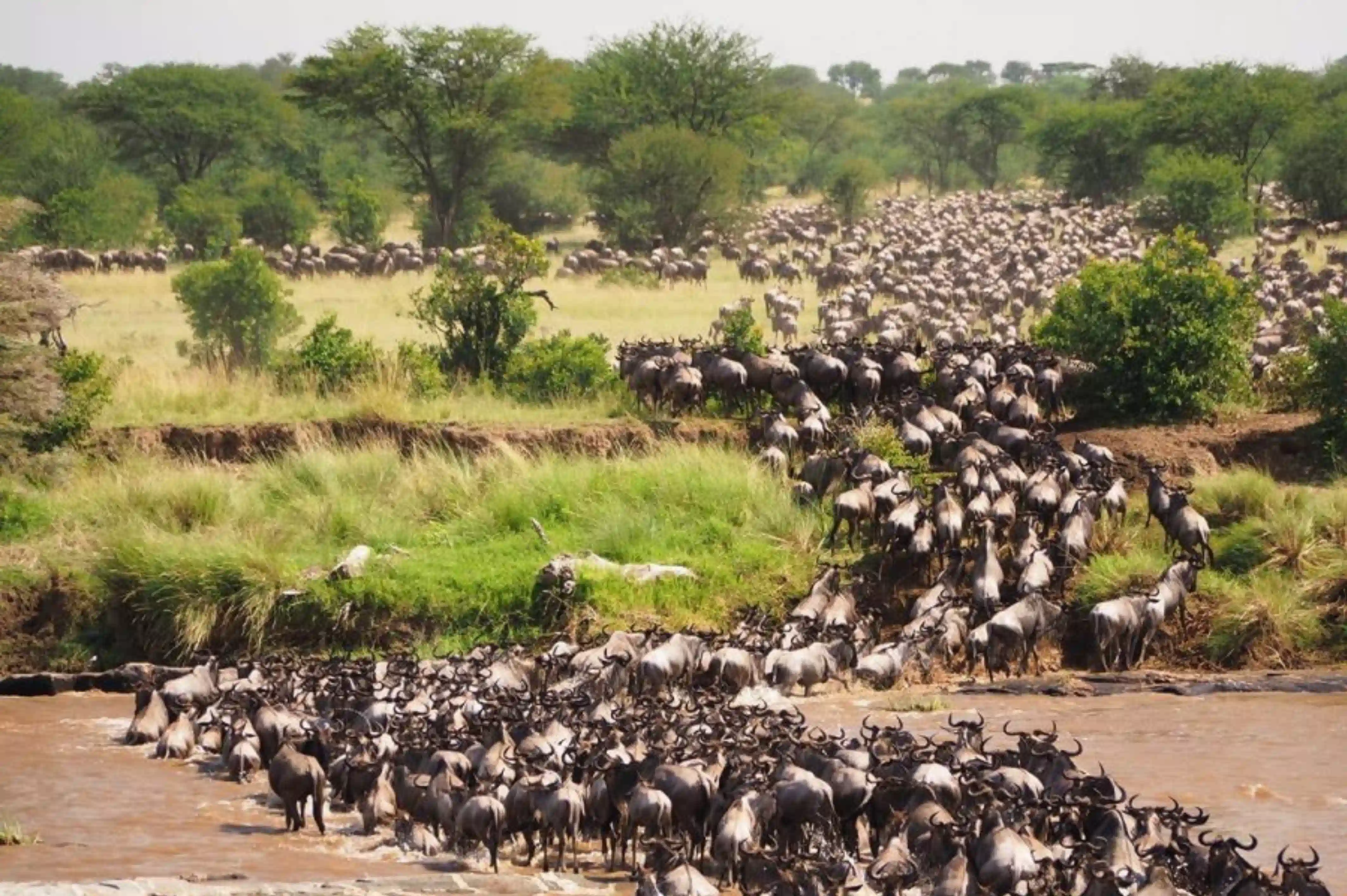 Kenya